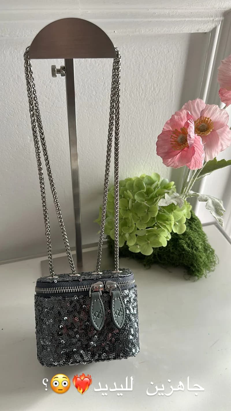Clr Grey Mini Bag – Clear Luxury Handbag